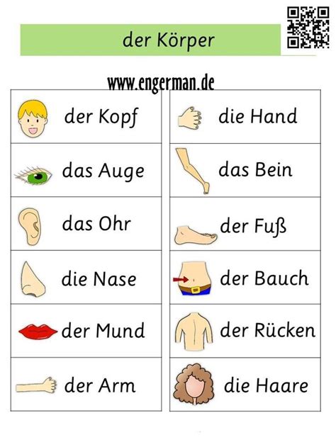 9 Besten Körperteile Bilder Auf Pinterest Deutsch Lernen Wortschatz