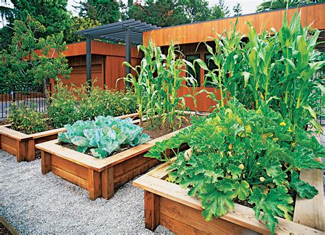 This makes it perfect for raised garden beds, which is one of the most popular techniques of gardening in idaho. Veggies up front - Sunset Magazine