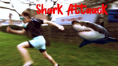 The Most Real Shark Attack Ever In History Youtube