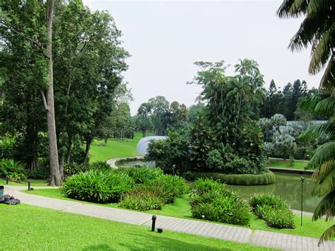 Hello Talalay Singapore Botanic Gardens