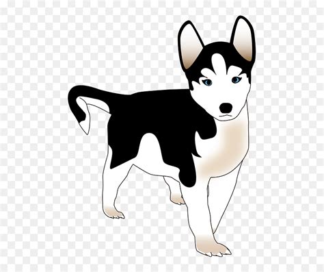 100 nama anjing terunik dan artinya populer 2019 diedit com sumber : Gambar Anjing Bulldog Kartun Keren - Gambar Kartun