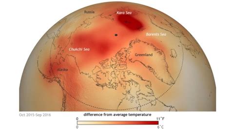 Climate Change Data Shows Likely To Be Warmest Year Yet Bbc News
