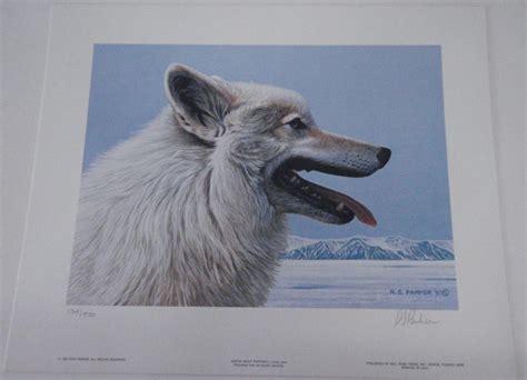 Arctic Wolf Portrait By R S Parker