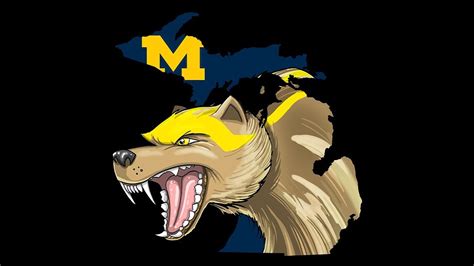 How To Draw Michigan Wolverines Mascot Youtube