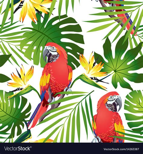 Tropic Parrots Royalty Free Vector Image Vectorstock