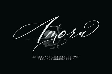 Best Calligraphy Fonts Unleash Your Creative Expression — Aligency Studio