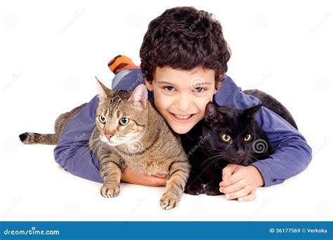 Boy With Cats Stock Image Image Of Little Breed Healthy 36177569