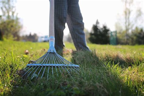 Suitable for southern lawns from coast to coast. Spring Lawn Care Tips to Bring Your Lawn Back to Life ...