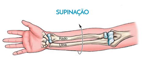 Epicondilite Lateral E Medial Saiba O Que É Dicas De Fisioterapia