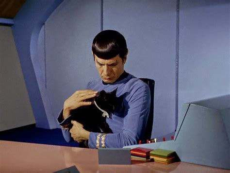 Khanzilla What Do You Make Of The Cat Mr Spock