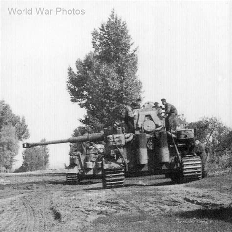 Tiger 332 Of Schwere Panzer Abteilung 503 1943 World War Photos