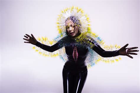 Disco Vulnicura Björk Música Instantânea