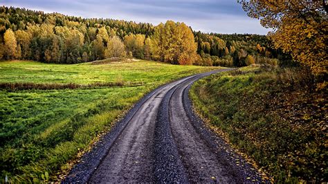 Forest Road With Green Grass Field And Trees With Yellow Leaves 4k Hd