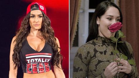 Former Wwe Star Nikki Bellas New Reality Tv Show Set To Debut Soon