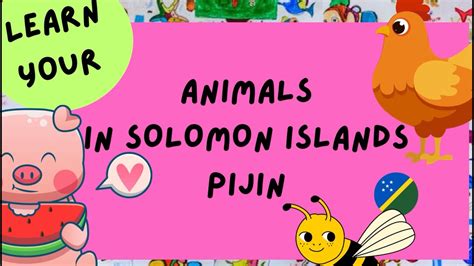 Animals In Solomon Islands Pijin Youtube