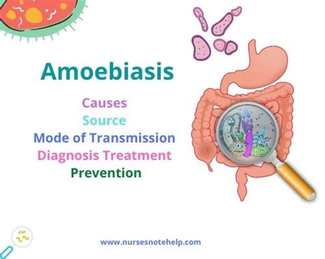 Amoebiasis Causes Source Mode Of Transmission Diagnosis Treatment