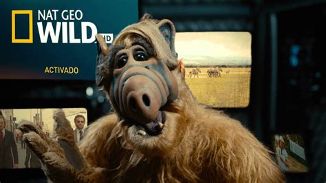 Youtube playlist is a collection of videos. DIRECTV® ALF HD - YouTube