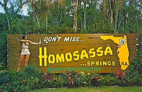 Postcard Gems Homosassa Springs