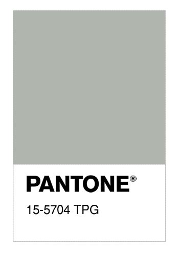 Colore Pantone® 15 5704 Tpg Mineral Gray Numerosamenteit