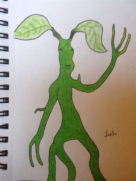 Bowtruckle Drawing Harry Potter Amino