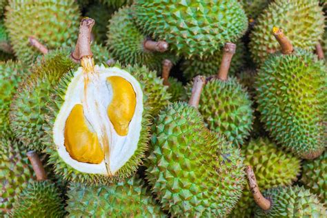 Jackfruit And Durian