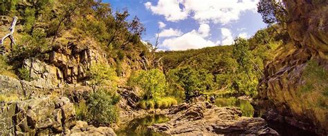 Best National Parks In South Australia Sa Tourism South Australia