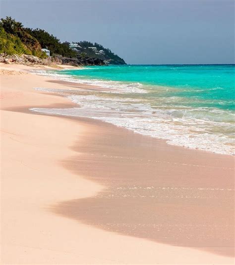 Bermudas Pink Sand Beaches Complete Guide Bermuda Pink Sand Pink