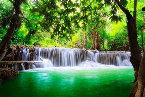 Waterfall Lakes Nature Trees Jungle Water Spring
