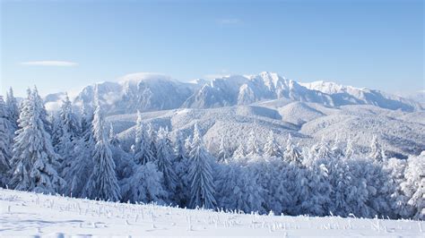 Snow Covered Mountain Trees And Field 4k Hd Nature Wallpapers Hd