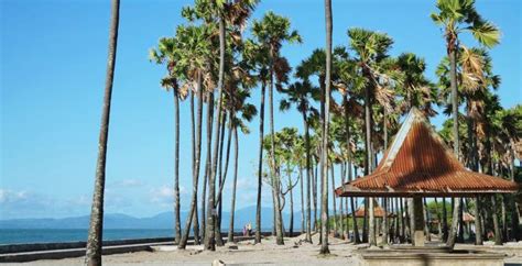 Rekomendasi 18 Tempat Wisata Di Kupang Ntt Tokopedia Blog
