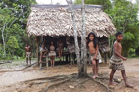 Tribu Bora Iquitos Perú 2012 Visita A Una Amistosa Y A Flickr