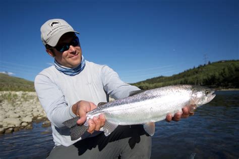 Fly Fishing Albertas Bow River In 2017 Dave Brown Outfitters Fly