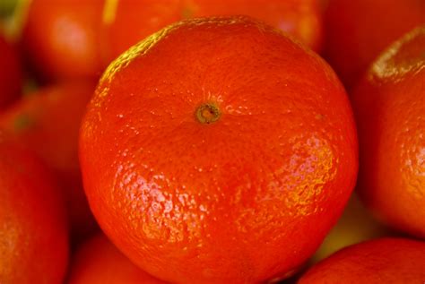 Images Gratuites Fruit Aliments Produire Légume Mandarine