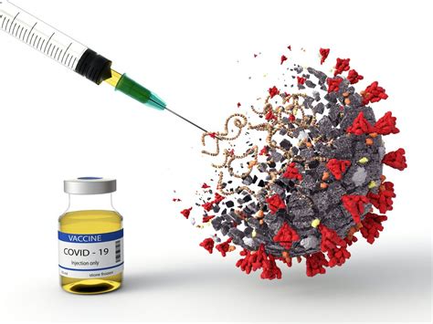 Para qualquer vacina ser liberada, é necessário que antes sejam feitos testes de segurança e eficácia. Vacina contra a Covid-19 será gratuita para os italianos ...