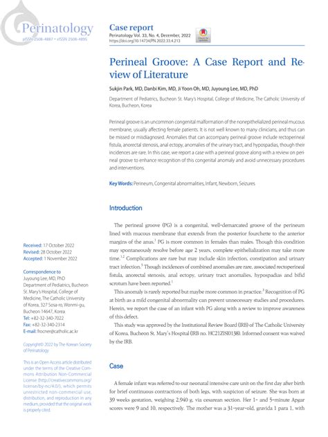 PDF Perineal Groove A Case Report And Review Of Literature