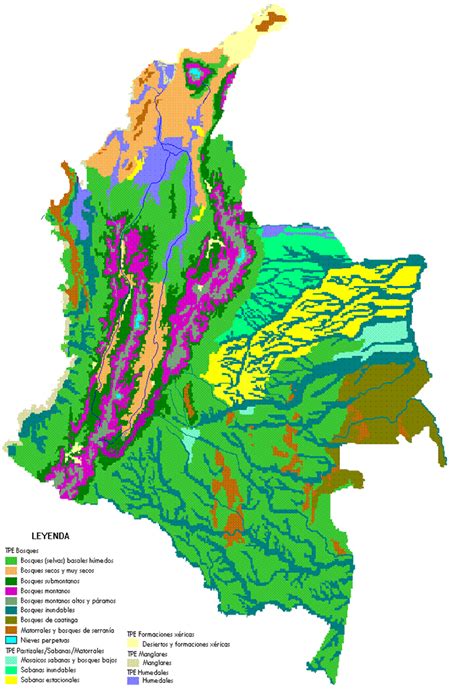 Mis Ciencias Ecosistemas Terrestres De Colombia 50901 The Best Porn
