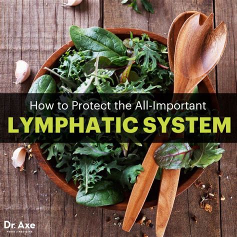 Lymphatic System How To Make It Strong And Effective Lymphatic System