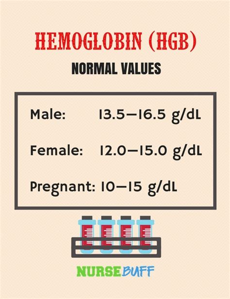 What Is The Normal Range Of Rbc In Pregnancy