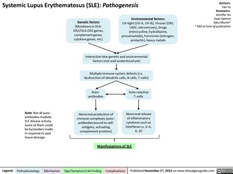 Systemic Lupus Erythematosus Sle Pathogenesis Calgary Guide
