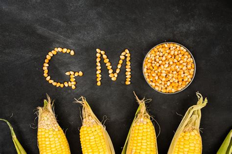 Enough Gmo Food Label Fear Mongering Eat Well To Be Well