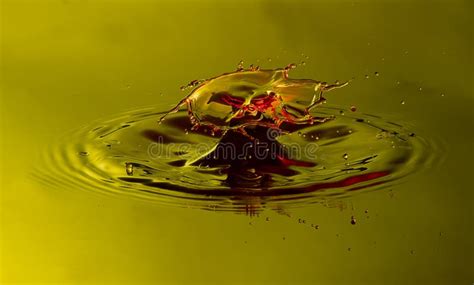 Macro Water Splash Stock Photo Image Of Clear Explode 23795090