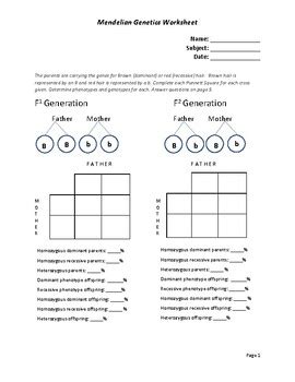This video will show how to set up everyone's this video uses vocabulary that was previously defined in the amoeba sisters monohybrid crosses video. Bestseller: Chapter 10 Dihybrid Cross Worksheet Answers Key