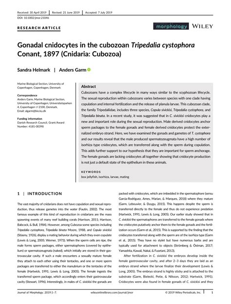 Pdf Gonadal Cnidocytes In The Cubozoan Tripedalia Cystophora Conant
