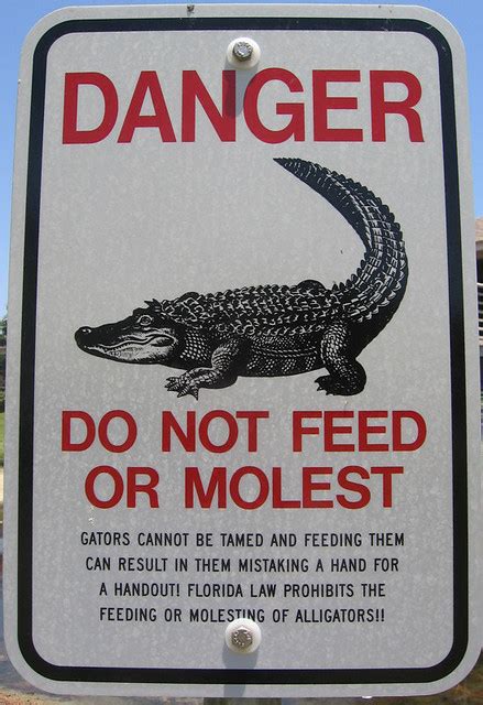 This sign belongs to these categories: Don't whatever you do molest the alligators | OK, no ...