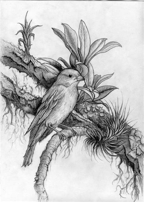 See more ideas about nature drawing, drawings, art drawings. Dark, Beautiful, Hyper-realism Pencil drawing of a bird ...