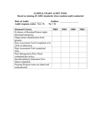 Printable Medical Chart Audit Tool Template Printable Templates Free