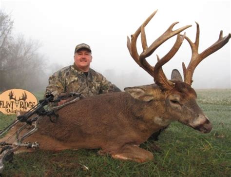Whitetail Deer Hunting Ohio Season Ohio Whitetail Deer Hunting Outfitter