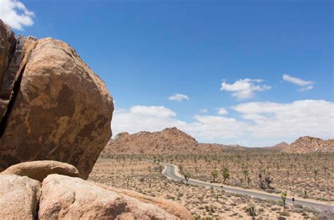 Joshua Tree National Park To Close Campgrounds Because The Toilets Are