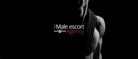 My Elite Male Escort Diary The Male Escort Agency