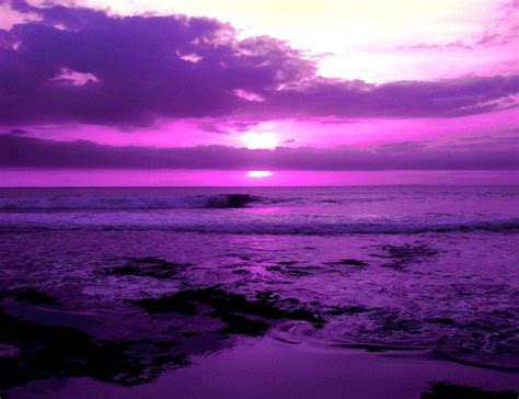 Purple Ocean Sunset All Things Purple Pinterest